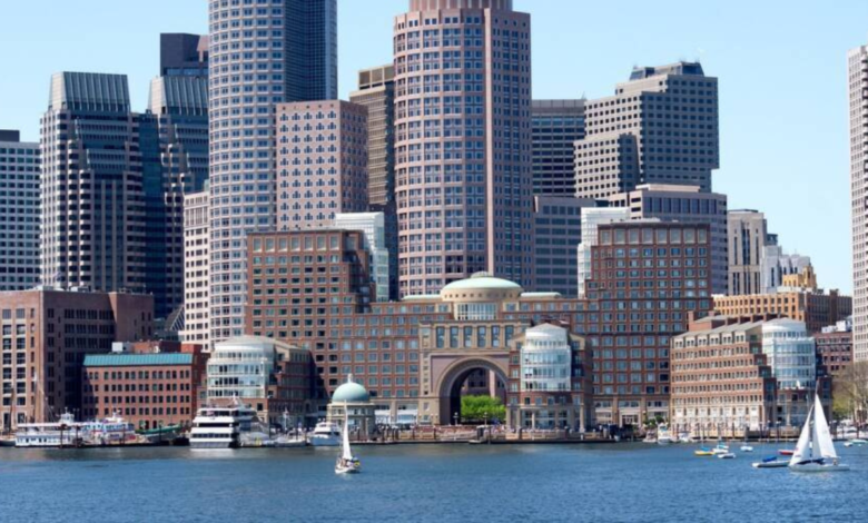 boston hedge